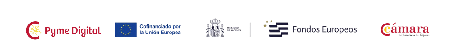 Programa Pyme Digital de la Cámara de Comercio de Ciudad Real